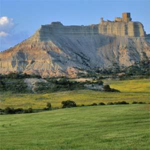 Hotel El Patiaz De La Reina Rana Tauste Екстериор снимка